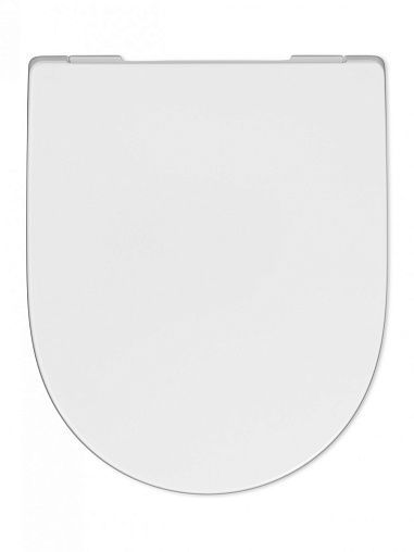 Сиденье с крышкой ONA Rimless Roca - фото2