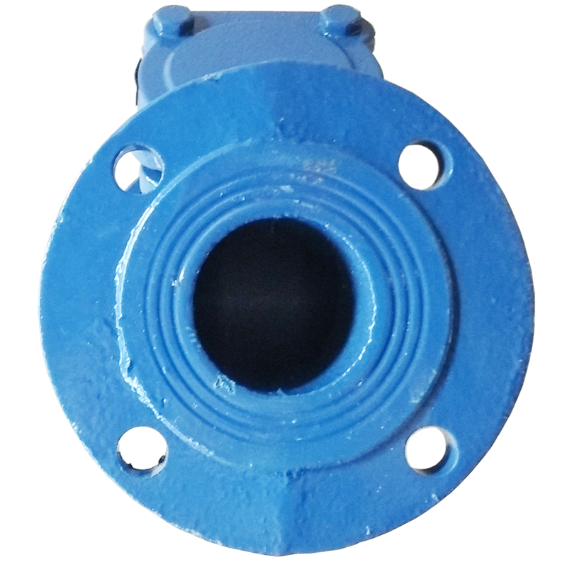 Фильтр ОСАДОЧНЫЙ фланц. DN 100 (КНР) фото-5